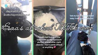 Essa's at school TikTok comp | none are mine | credits to original owners @Luna_The_Alsatian