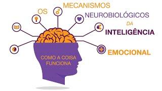 Mecanismos Neurobiológicos da Inteligencia Emocional
