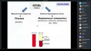 Ткани внутренней среды - гистология