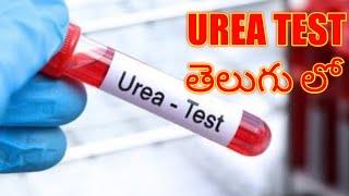 Urea test // what is urea // Basic information of urea in telugu