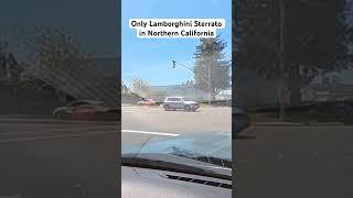 Only Lamborghini Sterrato in Northern California