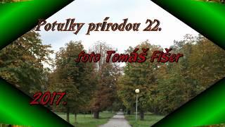 Potulky prírodou .22.foto Tomáš Fišer 2017