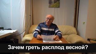 №5 Зачем греть расплод весной. Вопросы и ответы  по пчеловодству.Пчеловодство для начинающих