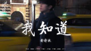 emo神曲「從來沒想過 不能再跟你牽手」2024流行歌曲： 我知道 - 阿磊，可能我 - 九姨太，就讓這大雨全都落下，出賣 emo版，荒漠 2024流行歌曲 2024抖音歌曲 抖音神曲2024