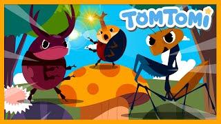 Let's Go! Insect Rangers | Insect Song | Insect Comics | TOMTOMI Songs for Kids