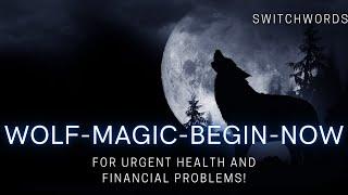 Urgent Health, Law and FInancial Matters with Switchwords - Sleep Cycle - WOLF-MAGIC-BEGIN-NOW