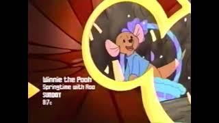 Disney Channel Winnie The Pooh: Springtime With Roo Promo (Sunday And Tomorrow Versions) (Apr. 2004)