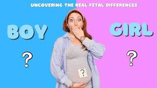 Boy or Girl Understanding Fetal Development Differences | Signs and symptoms of baby boy pregnancy