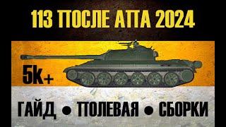 113 ПОСЛЕ АПА ● ГАЙД 2024 НА 5к+ АВГ ДМГ