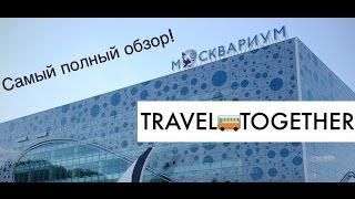 МОСКВАРИУМ. Самый полный обзор / Center of Oceanography and marine biology. Moscow, Russia