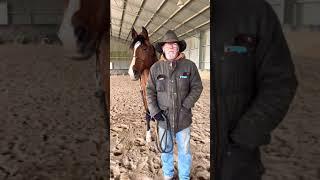 Greg Powell horsemanship clinics at Ballymount Farm