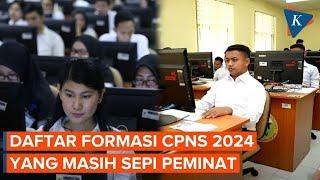 Simak! Daftar Formasi CPNS 2024 yang Masih Sepi Peminat