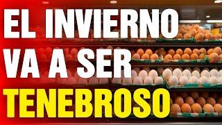 12 Alimentos que DEBES COMPRAR antes de Noviembre