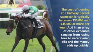 The True Cost of Raising a Competitive Racehorse - Richard D. Schibell Racing