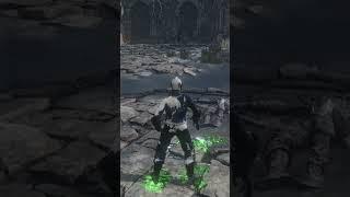 He did not want to fight me - Dark Souls 3 Mod