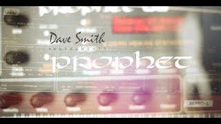 Dave Smith Prophet 08/REV2 vs. U-he Repro-5 (+FREE presets)