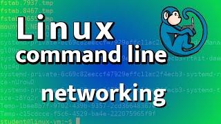 LCL 22 - basic networking - Linux Command Line tutorial for forensics