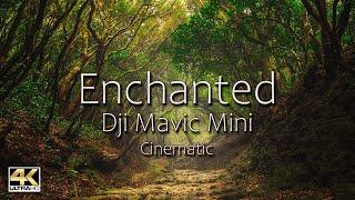 DJI Mavic Mini Footage | Most EPIC 4K Cinematic Video | The Enchanted