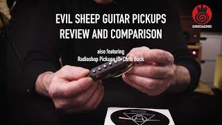 Review of Evil Sheep Stratocaster Pickups. Compared to Radioshop Pickups, Chris Buck Pickup set.