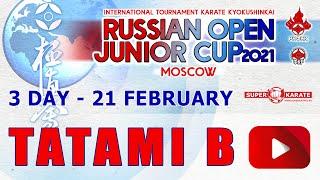 «Russian Open Junior Cup - 2021». ТАТАМИ В (3 день)