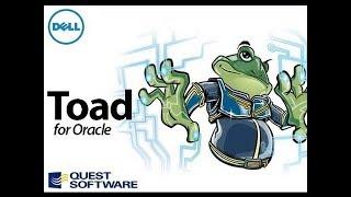 How to connect Oracle Database using Toad without entry in tnsname.ora file?