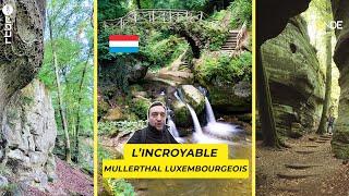 L'incroyable région luxembourgeoise : Mullerthal – Un Monde à part