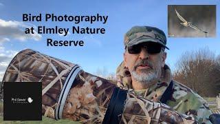 Bird Photography with the Sony A1 - Elmley Nature Reserve