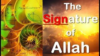 The Signature of Allah | Golden Ratio Found in Nature | Quran Decodes the Golden Ratio