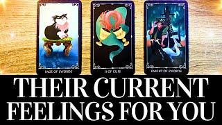 PICK A CARD Their CURRENT FEELINGS For YOU!  They want you to know THIS!  Love Tarot Reading