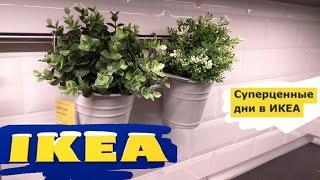 ИКЕАВАМ ЭТО ТОЧНО ПОНРАВИТСЯВОТ ЭТО ОСЕНЬВОТ ЭТО IKEA!Обзор магазина/Kseniya Kresh