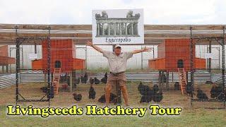 Hatchery Tour ~ Livingseeds Hatchery