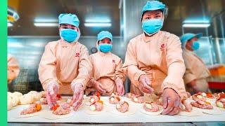 1 MILLION Asian Steamed Dumplings!!! HUGE Street Food in Vietnam!!