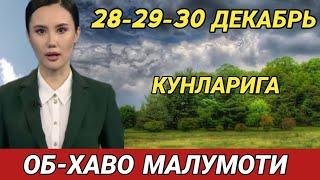 28-29-30 ДЕКАБРЬ КУНЛАРИ УЧУН ОБ ХАВО МАЛУМОТИ, ob havo.