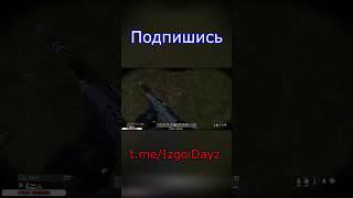 ШОК!!! МЕДВЕДЬ НАПАЛ НА  ЧЕЛОВЕКА #shorts  #dayzrp  #dayz