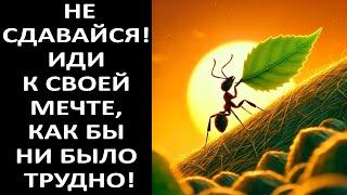 НЕ СДАВАЙСЯ! ИДИ К СВОЕЙ МЕЧТЕ, КАК БЫ НИ БЫЛО ТРУДНО!