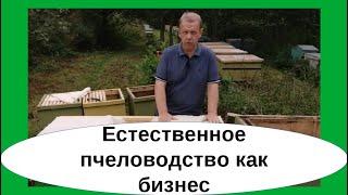 Как естественное пчеловодство перевести в профессиональное естественное пчеловодство как бизнес