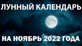 Лунный календарь на ноябрь 2022 года, фазы луны, благоприятные дни, для стрижки, посадки цветов...