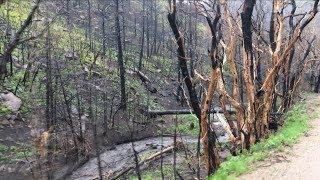 Colorado community braces for burn scar flooding