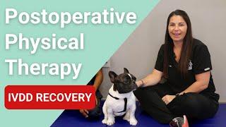 Postoperative Physical Therapy || IVDD Recovery