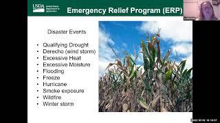 Emergency Relief Program (ERP) Phase 2 & Pandemic Assistance Revenue Program (PARP) Updates