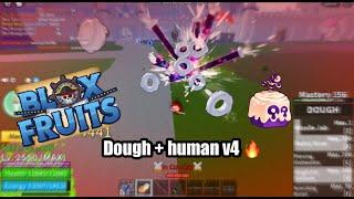 Bounty hunting with Dough + human v4 | craziest combination | blox fruit pvp