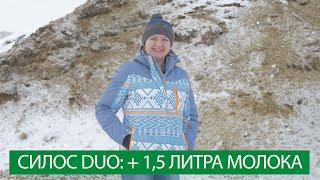 Отзыв: +1,5 литра молока быстро с кукурузным силосом DUO