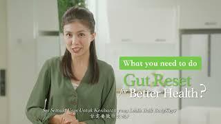 BodyKey Gut Reset Weight Management Programme