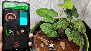 How to Make Self Watering Smart Pot Using NodeMCU | IoT smart Irrigation