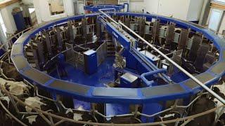 DeLaval AMR™ - Control your farm with AMR