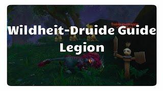 WoW Wildheits-Druide Guide für Legion