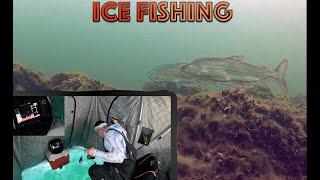 Lake Simcoe Ice fishing - Ft Ladybass