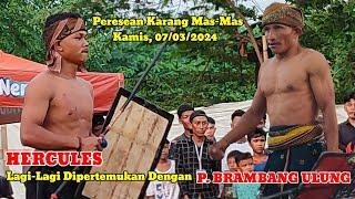 Seru ‼️Lagi-lagi Patih Brambang Ulung Bertemu Dengan Hercules / Peresean Terbaru 2024