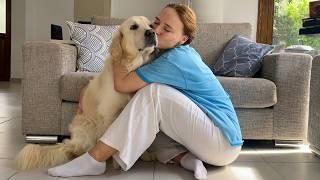 Golden Retriever loves hugs and kisses