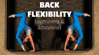 Quick and Easy Back Flexibility Follow-Along Stretching Routine